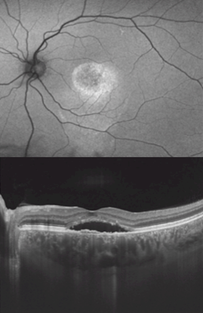 Dr. GABRIEL COSTA ANDRADE